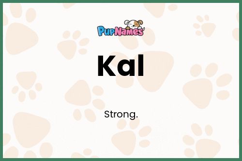 Kal dog name meaning