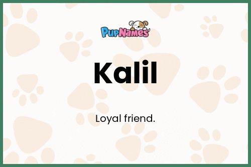 Kalil dog name meaning