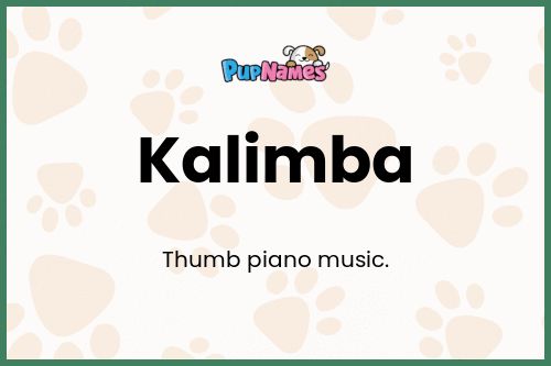 Kalimba dog name meaning