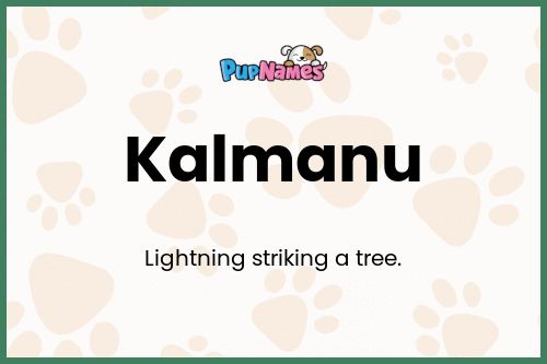 Kalmanu dog name meaning