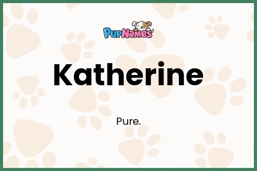 Katherine dog name meaning