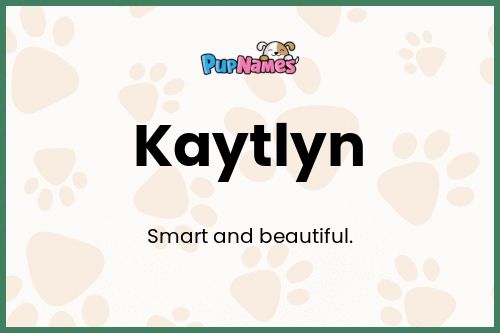 Kaytlyn dog name meaning