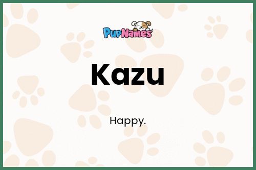 Kazu dog name meaning