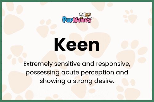 Keen dog name meaning