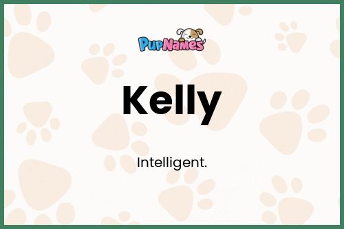 Kelly dog name meaning