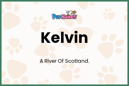 Kelvin dog name meaning