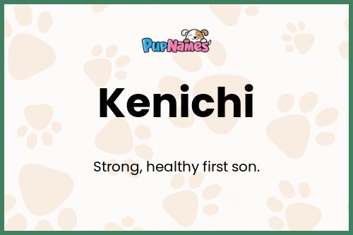 Kenichi dog name meaning