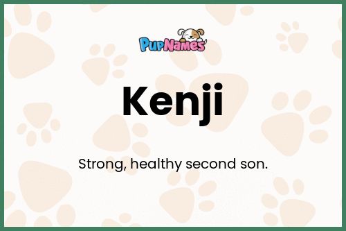 Kenji dog name meaning