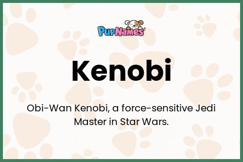 Kenobi dog name meaning