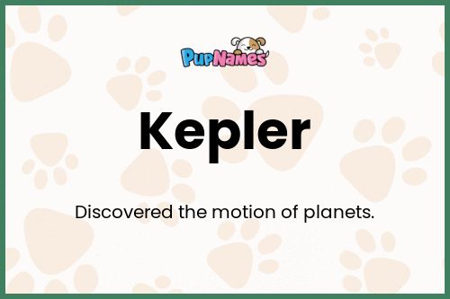 Kepler dog name meaning