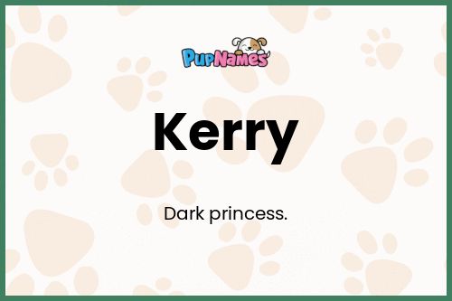 Kerry dog name meaning