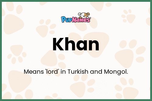 Khan dog name meaning