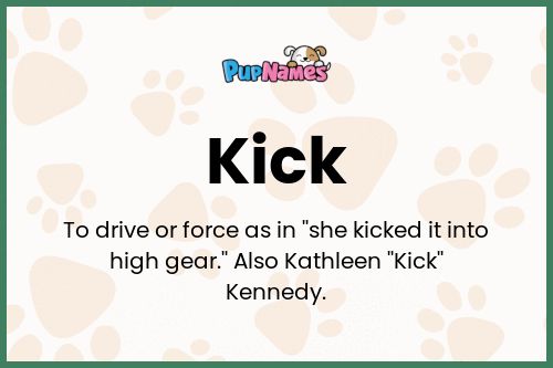 Kick Dog Name Meaning & Info - Drlogy