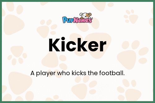 Kicker dog name meaning