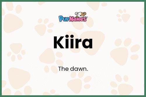 Kiira dog name meaning