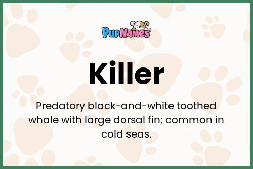 Killer dog name meaning