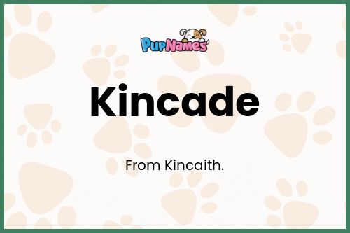 Kincade dog name meaning