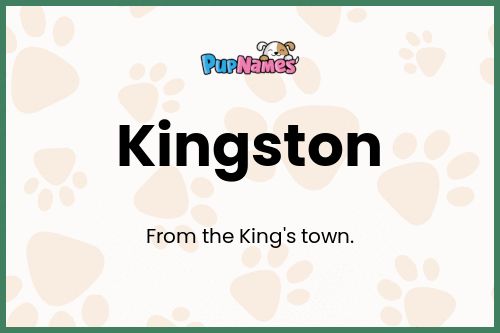 Kingston dog name meaning