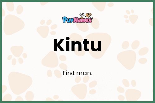 Kintu dog name meaning