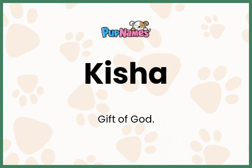 Kisha dog name meaning