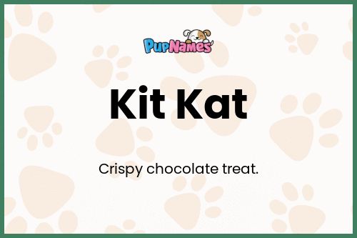 Kit Kat dog name meaning