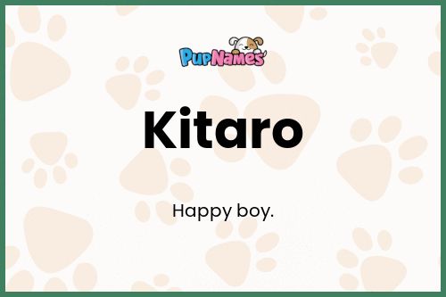 Kitaro dog name meaning