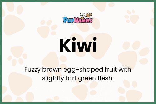 Kiwi dog name meaning