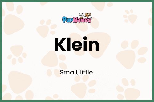 Klein dog name meaning