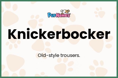 Knickerbocker dog name meaning