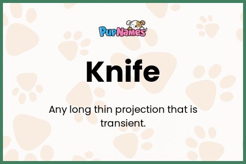 Knife dog name meaning