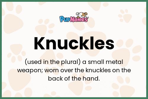 Knuckles dog name meaning