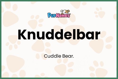 Knuddelbar dog name meaning