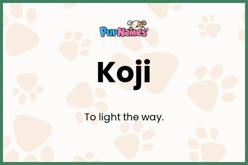 Koji dog name meaning