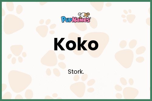 Koko dog name meaning