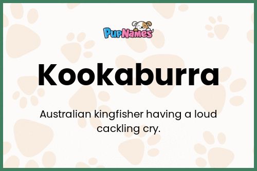 Kookaburra dog name meaning