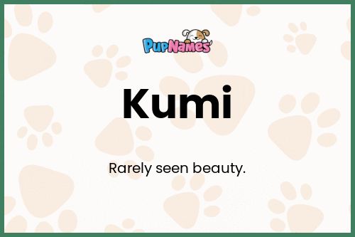 Kumi dog name meaning