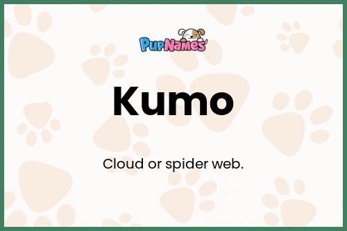 Kumo dog name meaning