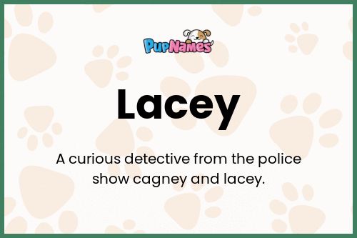 Lacey dog name meaning