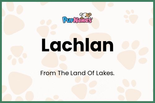 Lachlan dog name meaning