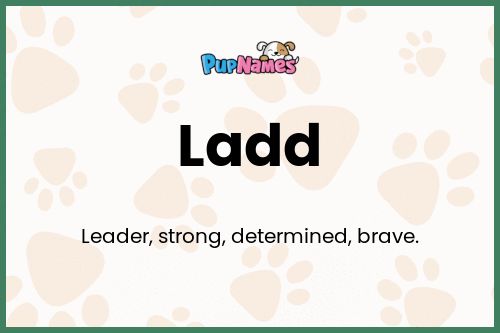 Ladd dog name meaning