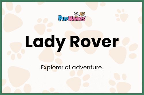 Lady Rover dog name meaning