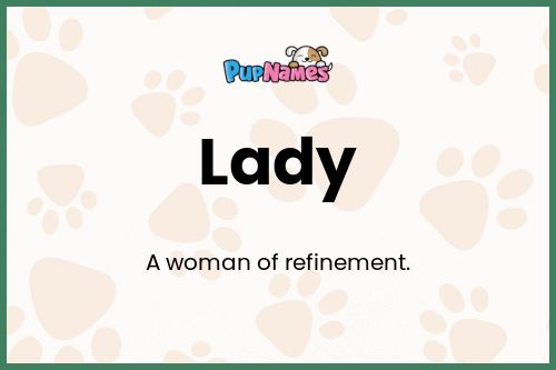 Lady dog name meaning