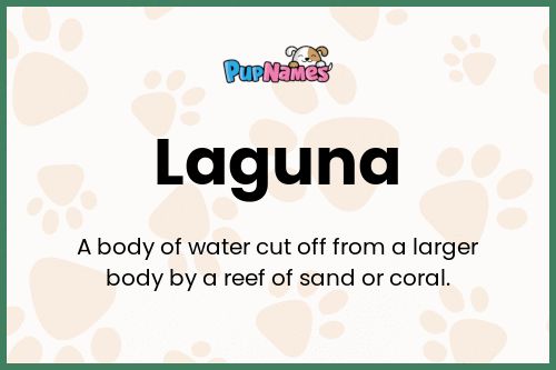 Laguna dog name meaning