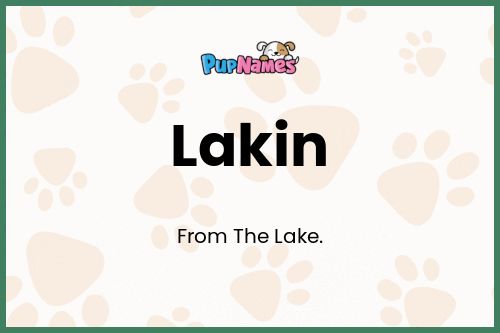 Lakin dog name meaning