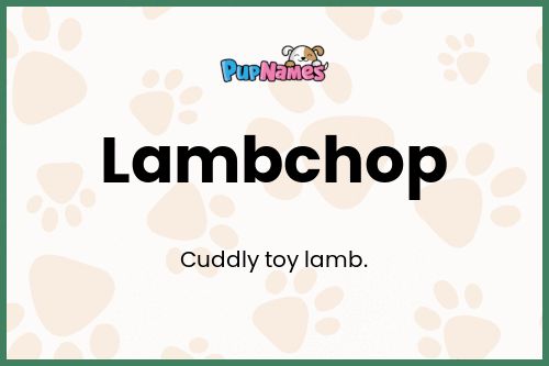 Lambchop dog name meaning