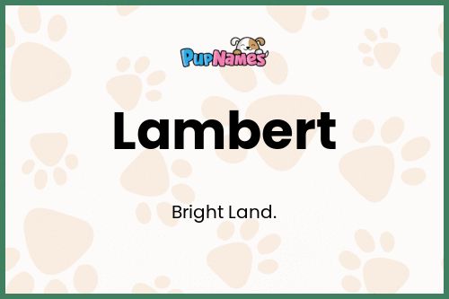 Lambert dog name meaning