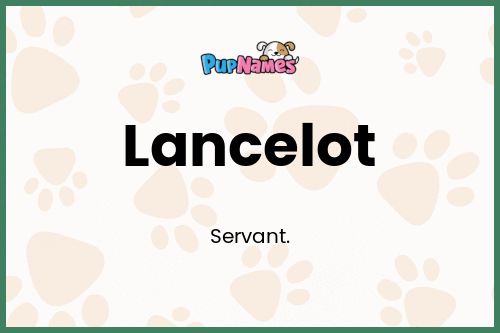 Lancelot dog name meaning