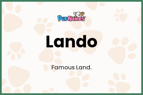 Lando dog name meaning