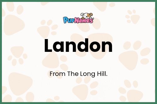 Landon dog name meaning