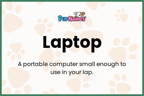 Laptop dog name meaning